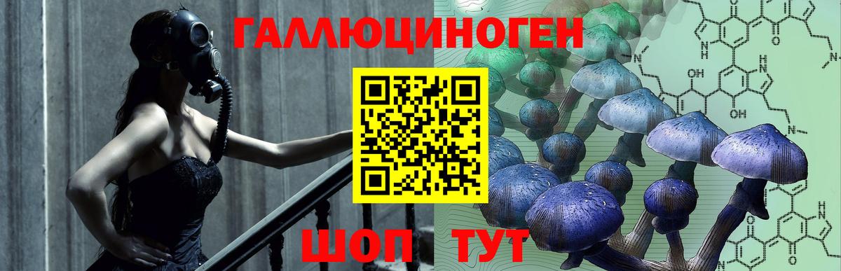 Галлюциногенные грибы мухоморы  Галлюциногенные грибы Psilocybine cubensis  Амурск  Вход с VPN 